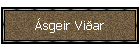 �sgeir Vi�ar