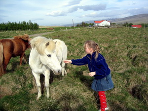 Me� hestunum � sveitinni