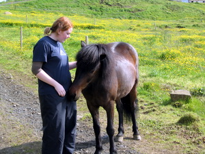 � s�l og bl��u � Fl��um sumari� 2004