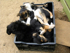 �v�l�kt letil�f!