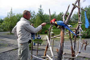 �r�r litr�kir fuglar