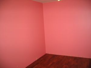 Flottur litur hj� �stu Bj�rk