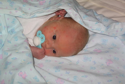 B��ur spenntur eftir sk�rninni