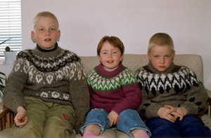 �ll � lopapeysum, misjafnlega �n�g�