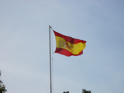 Sp�nski f�ninn blaktir fallega � golunni