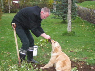 H�n � eftir a� l�ra �etta a�eins betur