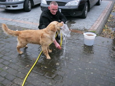 �vottur eftir kart�fluuppt�kuna