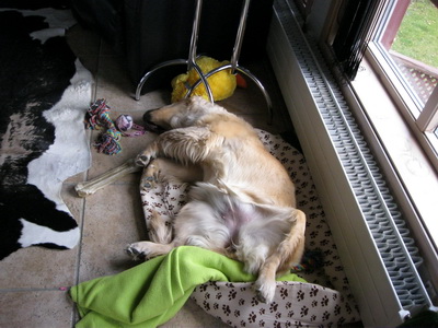 Ekki mj�g d�muleg stelling!