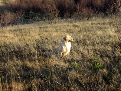 � byrjun n�vember 2011