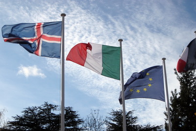 �slenski f�ninn er greinilega fallegastur