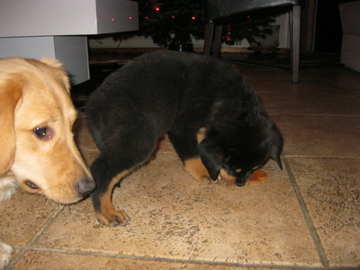 Sumir fengu b�ndak�ku og a�rir ekki!