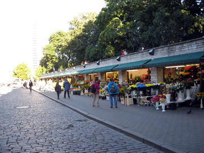 Gamli mi�b�rinn � Tallinn