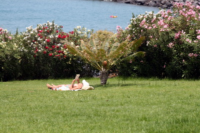 Fallegur gr��ur og t�r sj�r