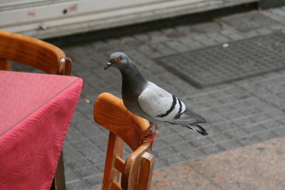 D�fa � Santa Cruz � Tenerife