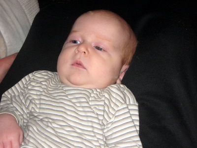 �v�l�kur spekingssvipur � Gunnari K�ra!