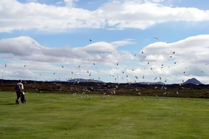 � kr�uh�pi � K�lfatj�rn