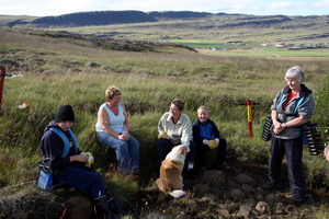 Gr��ursetning � Gr�f 2007