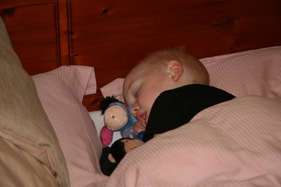 Alltaf gott a� sofa � afaholu