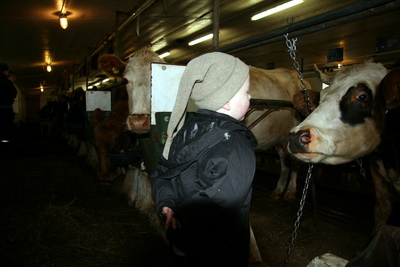 � fj�sinu hj� J�nka � Tungu