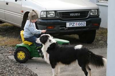 �essi traktor er l�ka �g�tur og Flippa fylgist me�