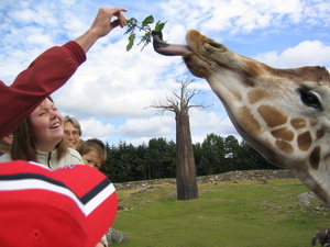 �rni veit a� g�raffar vilja helst nj�la