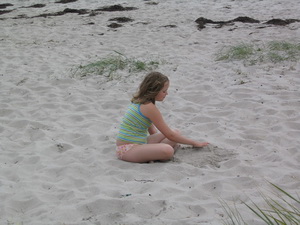 � str�ndinni � Danm�rku