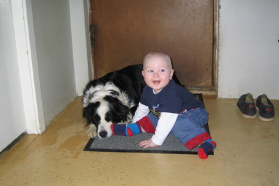 Ekki aldeilis hr�ddur vi� hunda