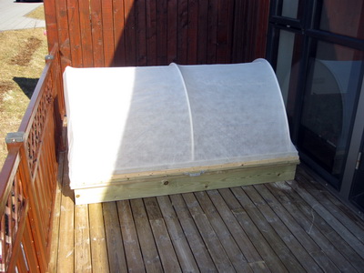 Gr��urkassinn tilb�inn