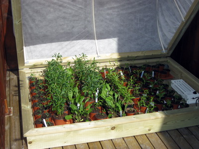 Gr��urkassi � ma�byrjun 2015