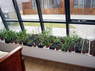 H�r er �mislegt a� gerast