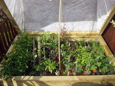 � byrjun j�l� 2015