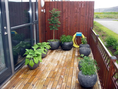 S�lpallur hreinn og snyrtilegur