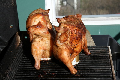 Svona � a� grilla kj�kling, � bj�rd�s