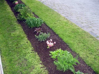 Grasi� slegi� og be�i� snyrt