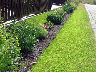 �mislegt � eftir a� bl�mstra � be�inu