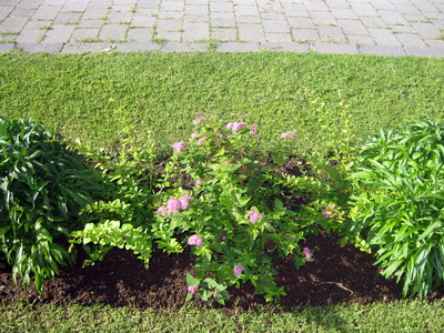 �r�ngt mega s�ttir sitja