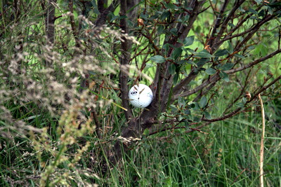 L�klega best a� taka v�ti strax!