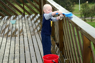 Veri� a� �r�fa fuglask�t fyrir afa