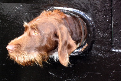 �essi mynd er t�r snilld!