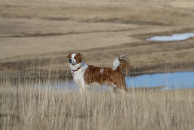 Ein af bestu myndum �rsins 2010