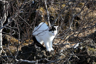 Alveg fr�b�r mynd