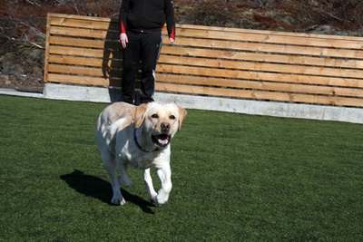 �ula � fullri fer�