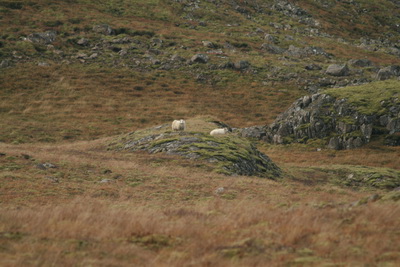 �r � beit, �a� er n� allt og sumt!