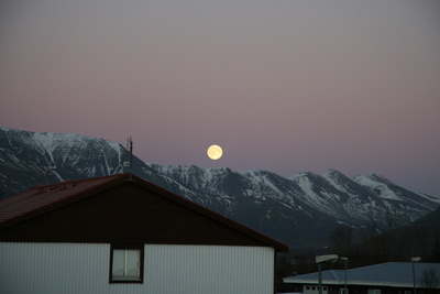 Fr�b�r vetrarmynd!