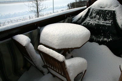 Snj�r � Skeljatanga