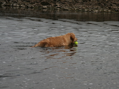 Fyrsta alv�ru vatnsfer�in, � Hre�avatni