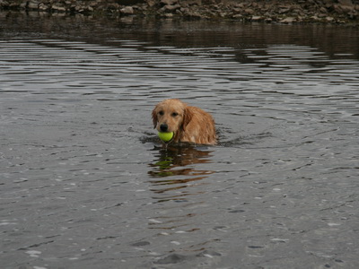 � lei� � land aftur