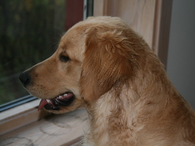 Betra a� fylgjast vel me� umhverfinu!