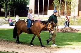 Arna Hr�nn � rei�t�r � Drottningu