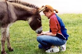 G�� saman, �sta Bj�rk og asni